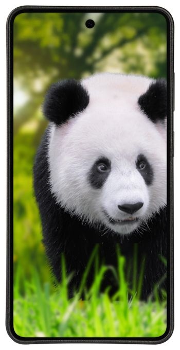 Geldbörsenhülle für Samsung Galaxy S26 Ultra  Lynge MAG (Schwarz) 