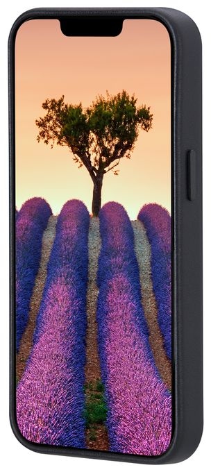 Cover für Apple iPhone 17e/16e  Roskilde (Schwarz) 