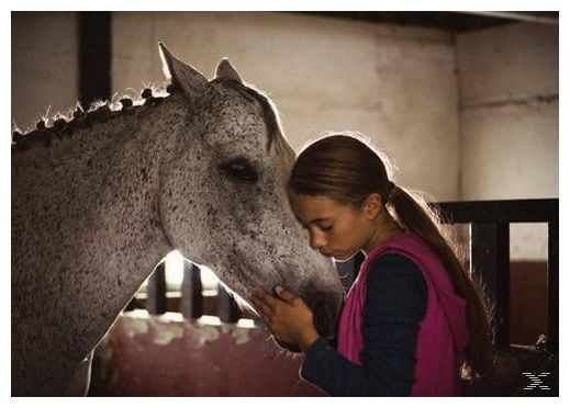 Ein Pferd für Klara (DVD) 
