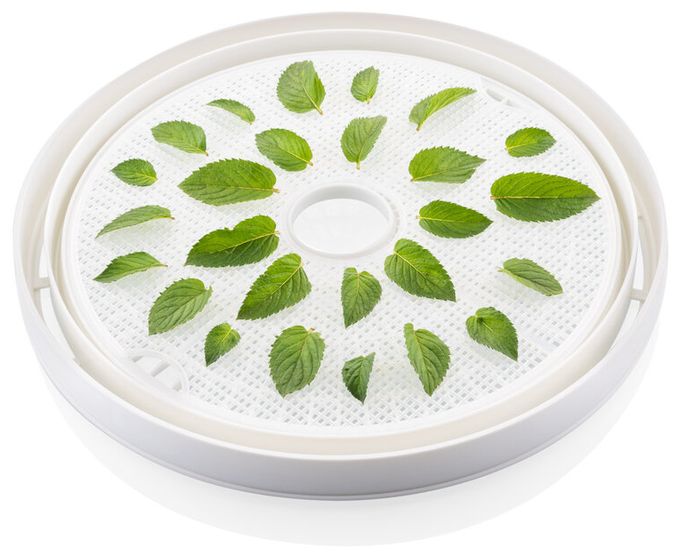 Dörrautomat 500 W 19,5 h Maximale Timer-Zeit 5 Dörrgitter Brisa 