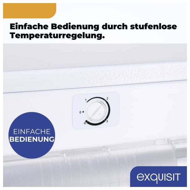 177 l Gefrierschrank 123 kWh Jahr  GS230-H-050C (Weiß) 