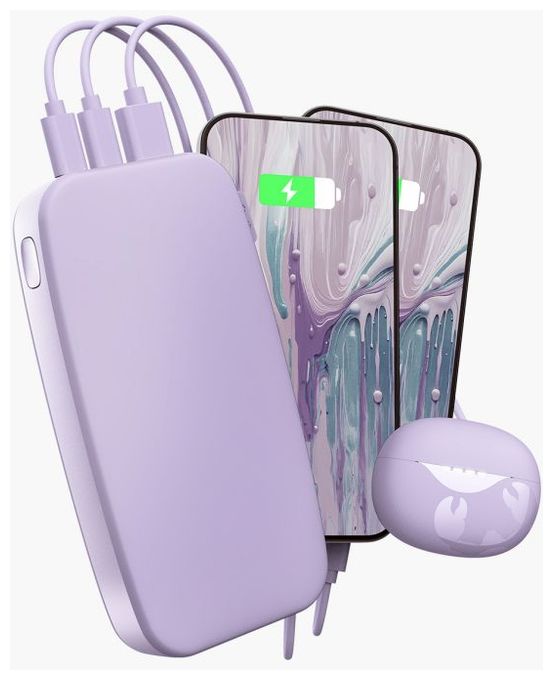24000 mAh Powerbank USB Typ-C  2PB24100DL2 (Lila) 