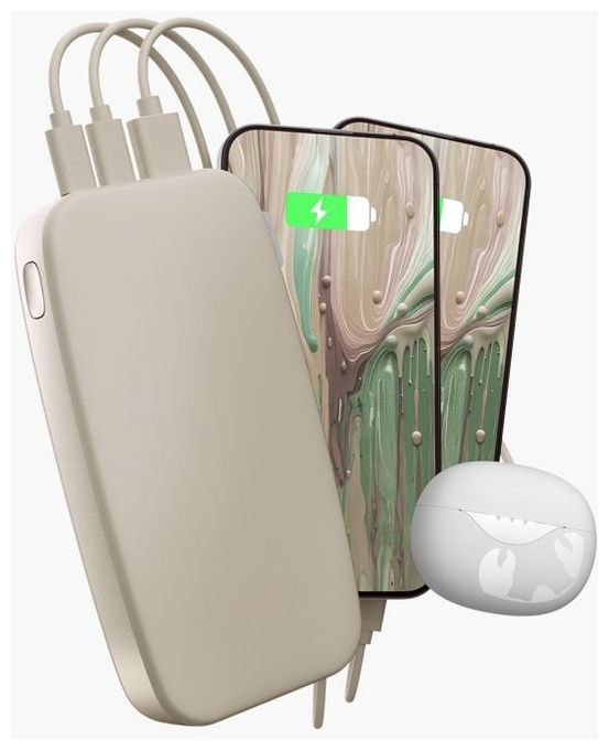 24000 mAh Powerbank USB Typ-C  2PB24100SS (Sand) 