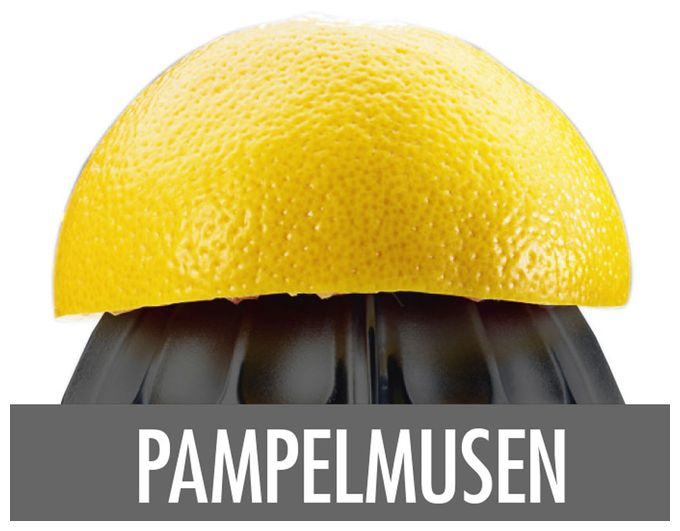 100 W  41138 Home Culture Zitruspresse (Schwarz, Edelstahl) 