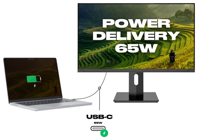 4K Ultra HD Monitor 60,5 cm (23.8 Zoll) 16:9 8 ms  JN-IPS2380UHDR-C65W-HSP (Schwarz) 