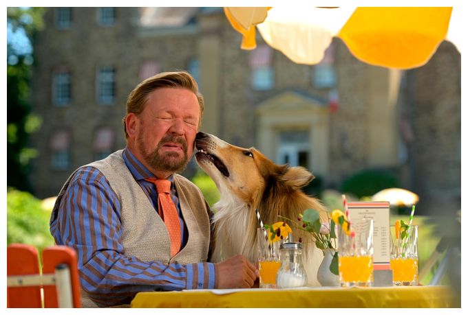 Lassie - Ein neues Abenteuer (DVD) 