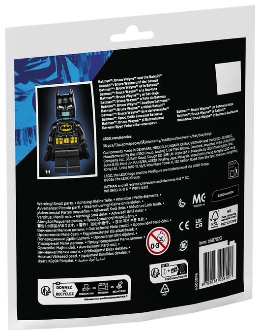 BatmanTM: Bruce Wayne und der Batsuit 
