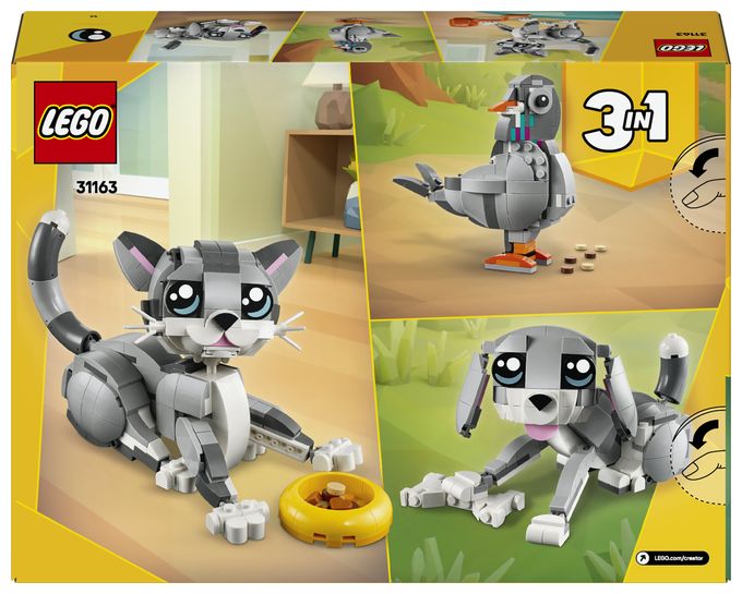 Graue Katze 