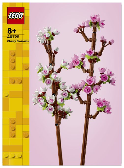 Kirschblüten 