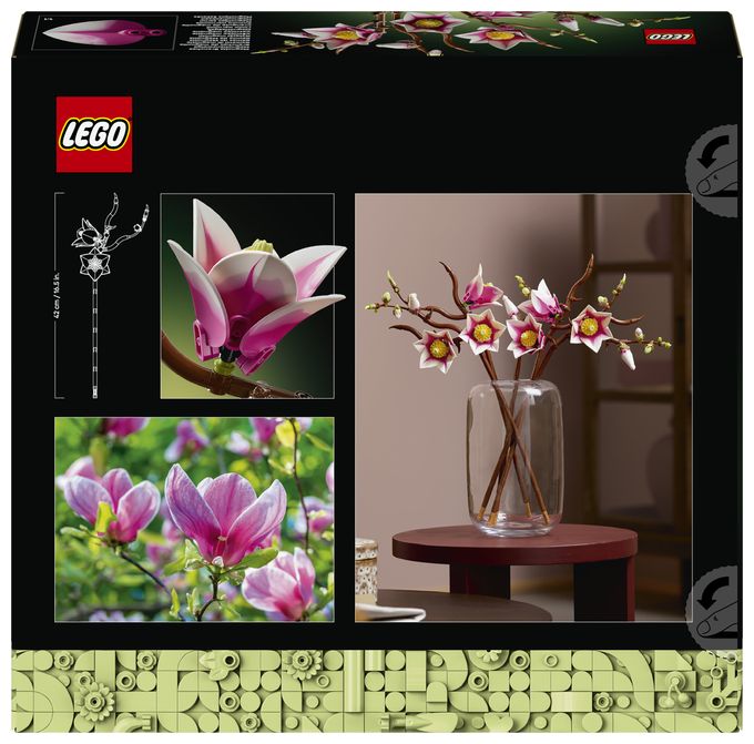 Magnolienzweige 