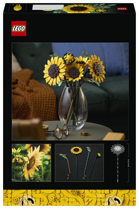 Sonnenblumen 