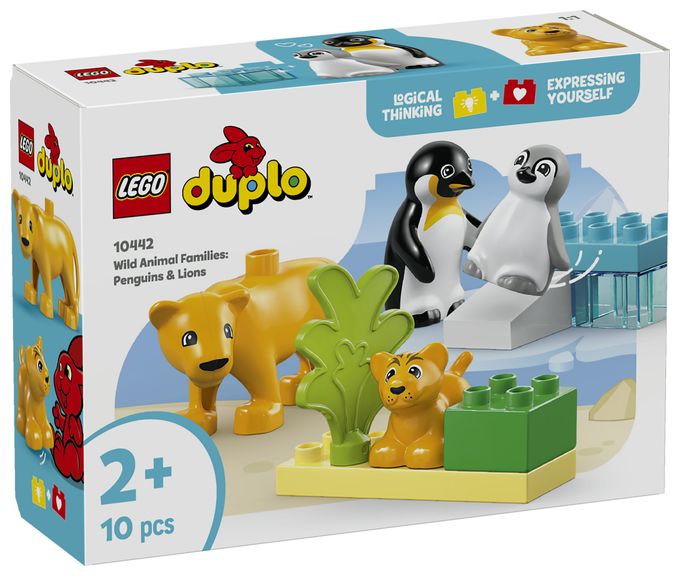 Wildtier-Familien: Pinguine und Löwen 