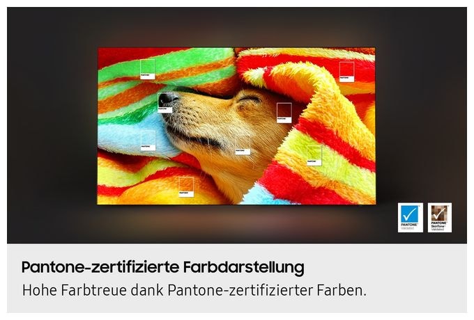 OLED 195,6 cm (77 Zoll) Fernseher 4K Ultra HD VESA 400 x 300 mm GQ77S85FAEXZG 