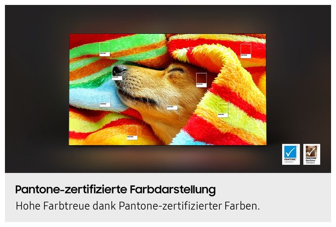 OLED 2,11 m (83 Zoll) Fernseher 4K Ultra HD VESA 400 x 300 mm GQ83S85FAEXZG 