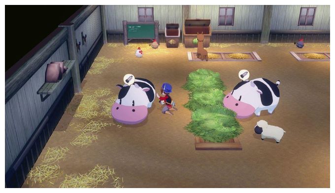 Story of Seasons: Grand Bazaar (Nintendo Switch 2) 