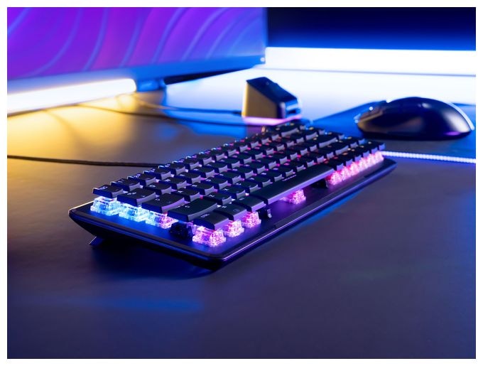 RGB-LED Gaming Tastatur USB  Vulcan II Mini (Schwarz) 