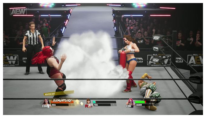 AEW: Fight Forever (Nintendo Switch) 