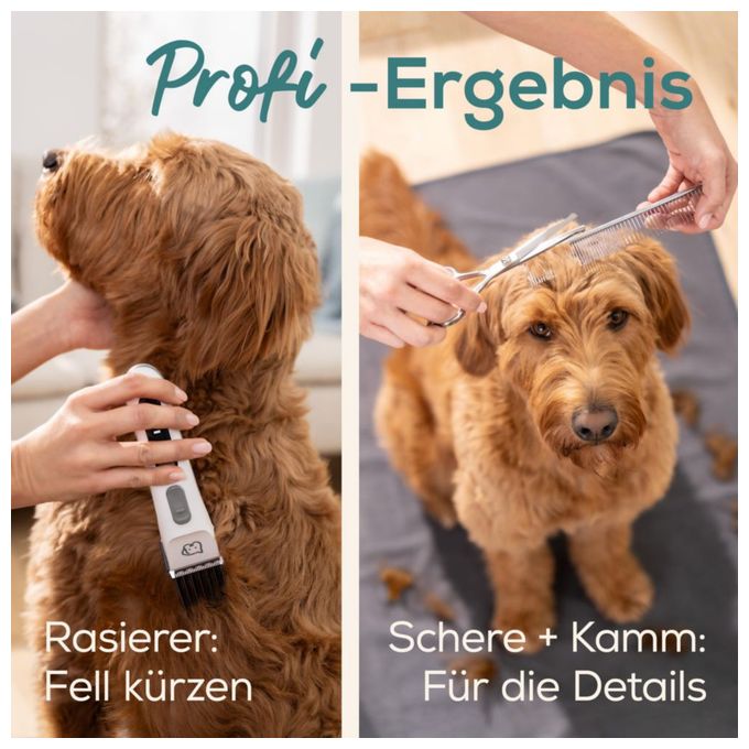 PP110 Fluffy Hundeschermaschine 