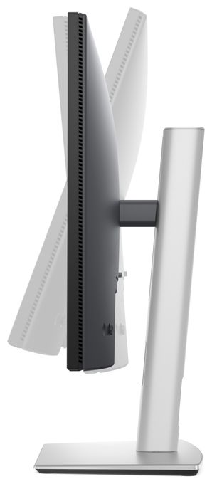 Quad HD Monitor 61 cm (24 Zoll) 16:9 8 ms 350 cd/m²  P2425D (Schwarz, Silber) 