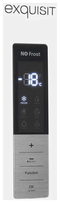 380 l Gefrierschrank 226 kWh Jahr NoFrost  GS380-NF-H-050D (Weiß) 