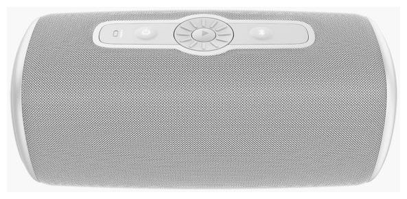 40 W Bluetooth Lautsprecher IP67 Laufzeit bis 25 h  Rockbox Bold L3 (Grau) 