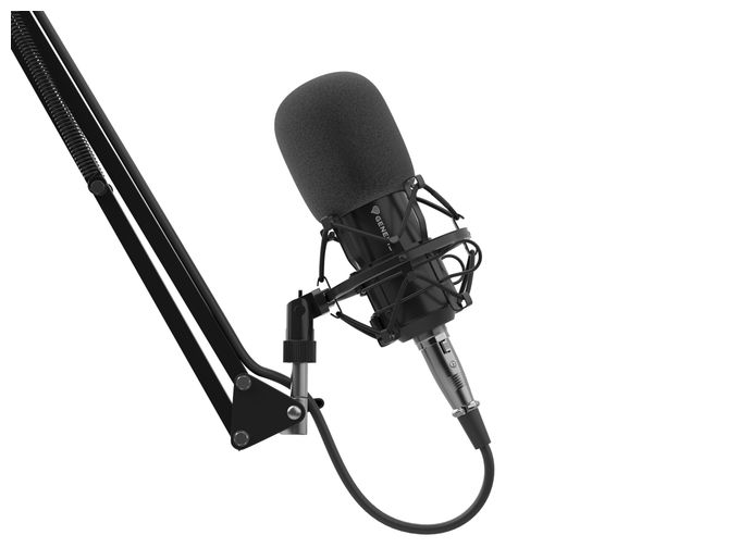 Kabelgebunden Studio-Mikrofon  Radium 300 XLR (Schwarz) 