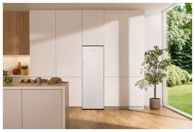 194 l Gefrierschrank 219 kWh Jahr NoFrost  FN4172CW (Weiß) 