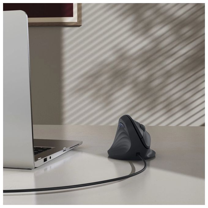 1800 DPI Büro Maus Optisch  173087 ECM-500L (Schwarz) 