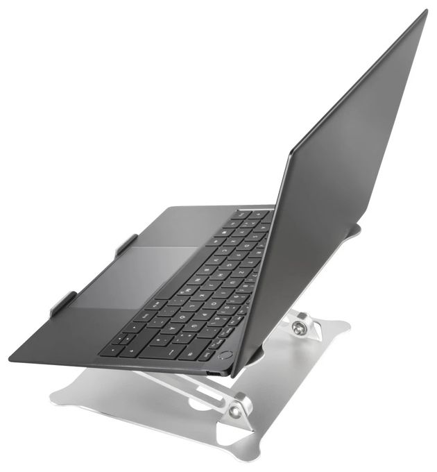 Alu 