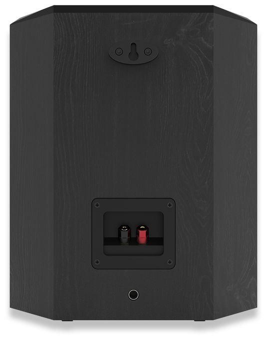 100 W 2-Wege Lautsprecher  RP-502S II (Schwarz) 