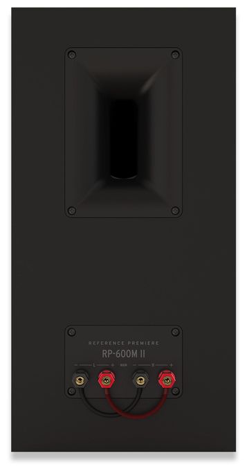 100 W Lautsprecher  RP-600M II (Braun) 