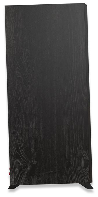 250 W 2-Wege Lautsprecher  RP-8060FA II (Schwarz) 