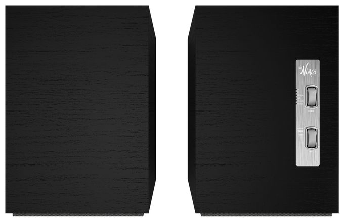 240 W Bluetooth Lautsprecher  The Nines (Schwarz) 