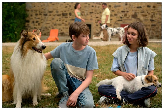 Lassie - Ein neues Abenteuer (DVD) 
