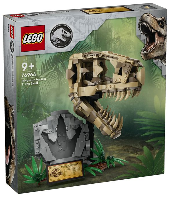 Dinosaurier-Fossilien: T.-rex-Kopf 