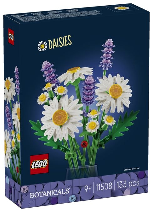Gänseblümchen 