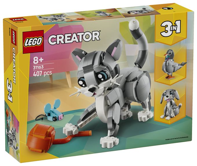 Graue Katze 