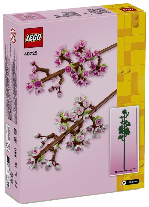 Kirschblüten 