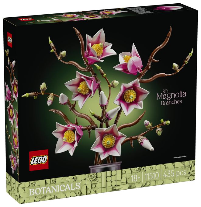 Magnolienzweige 