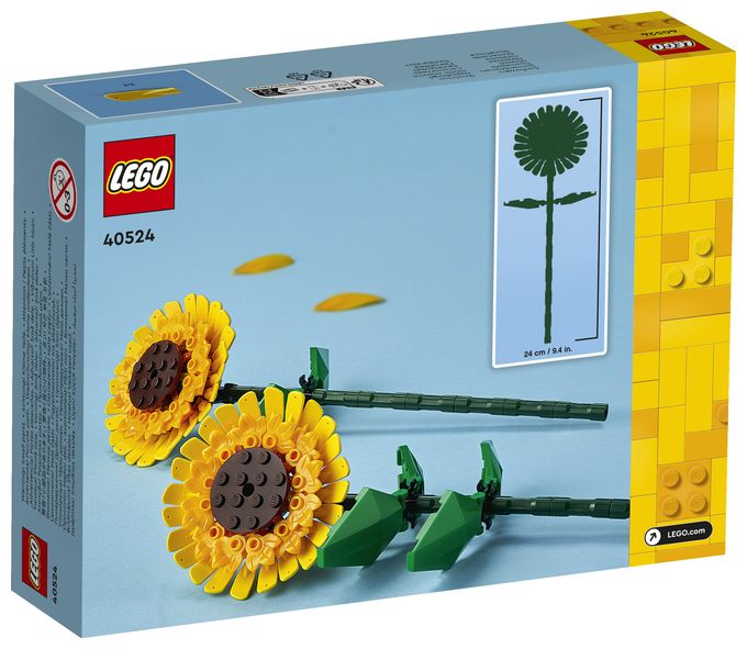 Sonnenblumen 