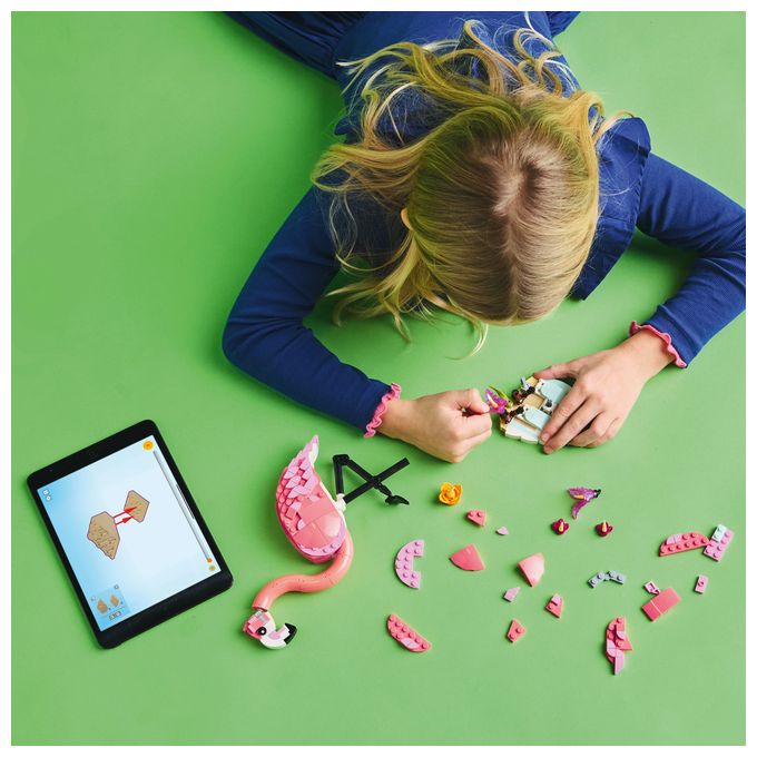 Wilde Tiere: Rosa Flamingo 