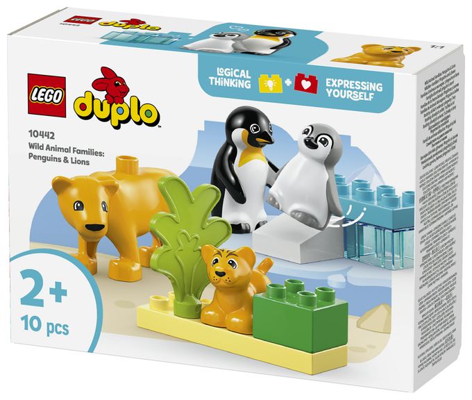 Wildtier-Familien: Pinguine und Löwen 