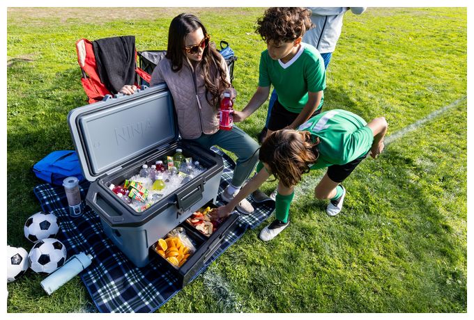 47 l Kühlbox  FB151EUGY (Grau) 