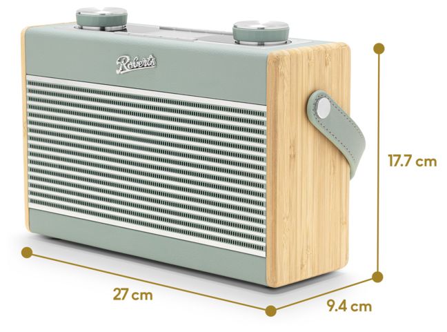 Bluetooth DAB, DAB+, FM Radio Tragbar  Rambler Max (Grün) 