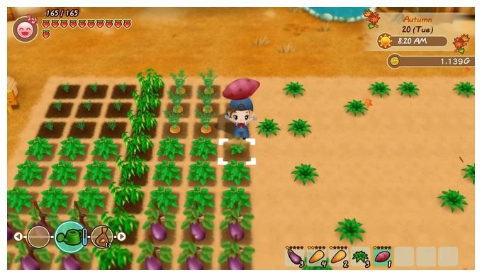 Story of Seasons: Friends of Mineral Town (PlayStation 4) 