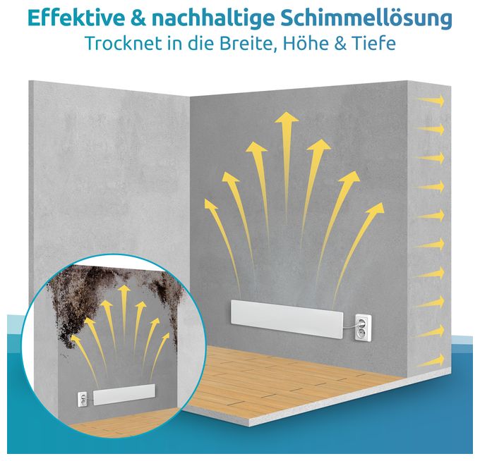 Schimmel Dry M1 Basis Wand 