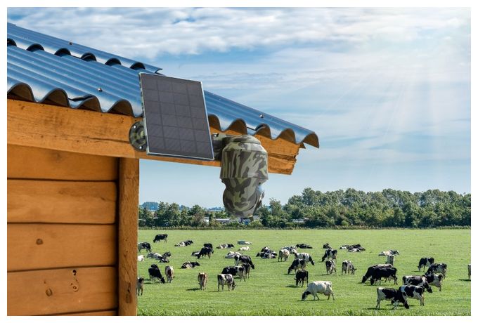 2560 x 1440 Pixel IP-Sicherheitskamera IP65 4G Außen Nachtsicht  TX-290 4G PT Dome mit Solarpanel (Schwarz, Grün) 