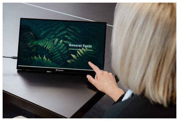 Full HD Monitor 39,6 cm (15.6 Zoll) 16:9 6 ms 250 cd/m²  PMT-15 (Schwarz) 