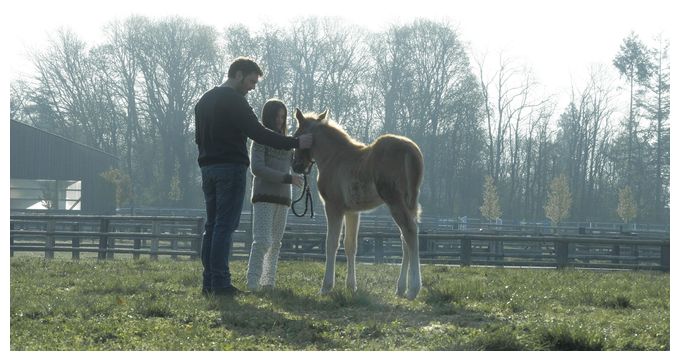 Zoe & Sturm (Blu-Ray) 