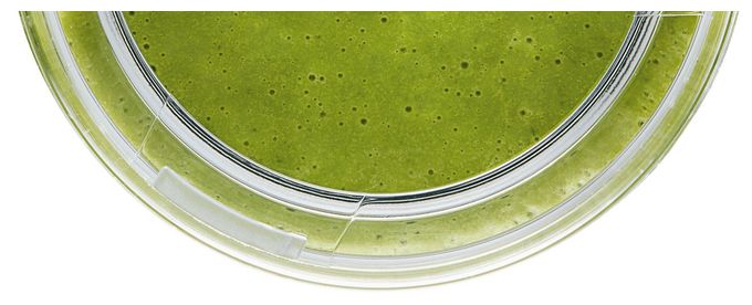 Tritan (Schwarz, Transparent) MMZV0BT1 VitaMaxx Trinkflasche 